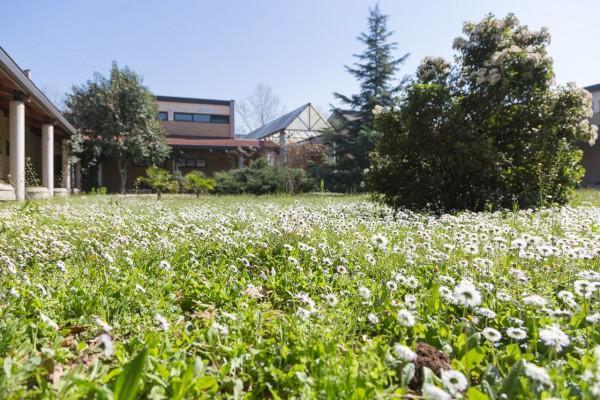 La Cordata Accommodation - Brodolini 24 Cinisello Balsamo Kültér fotó